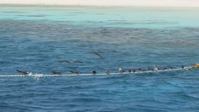 Excursión de esnórquel en Port Ghalib Marina desde Marsa Alam 2023-2024 Excursión de esnórquel en Port Ghalib Marina desde Marsa Alam